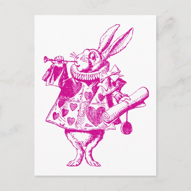 Carte Postale Héraut de lapin blanc rose (Devant)