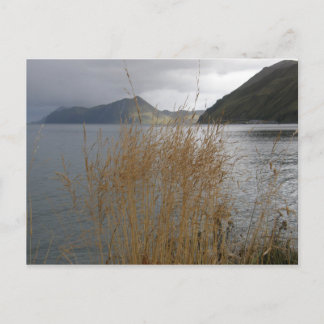 Carte Postale Herbe d'automne par Illiuliuk Bay