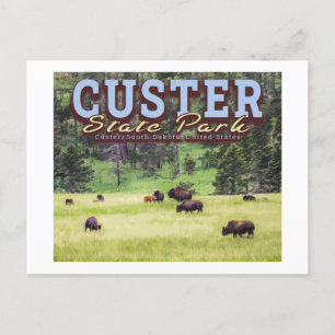 CARTE POSTALE HERBE DE BISON - PARC D'ÉTAT DE LA CUSTRE - DAKOTA