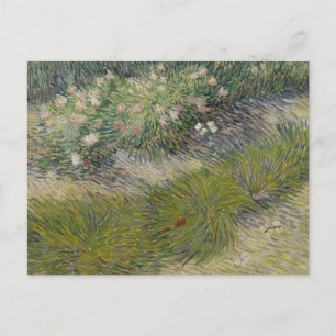 Carte Postale Herbe et Papillons de Vincent van Gogh