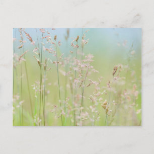 Carte Postale Herbes en mouvement