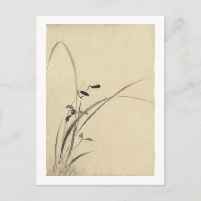 Carte Postale Herbes, Hokusai Art Japonais (Devant)