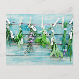 Carte Postale herbes sur mur vintage en bois peint turquoise