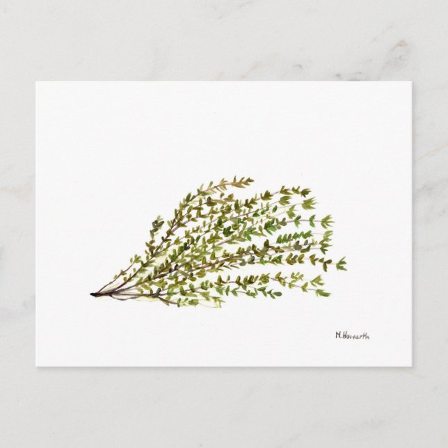Carte Postale Herbes thym cuisine art aquarelle peinture (Devant)