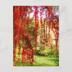 Carte Postale Herbst / Automne