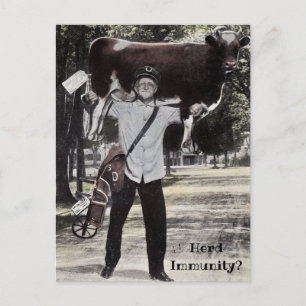 Carte Postale Herd de style antique Livraison de la vache Immuni