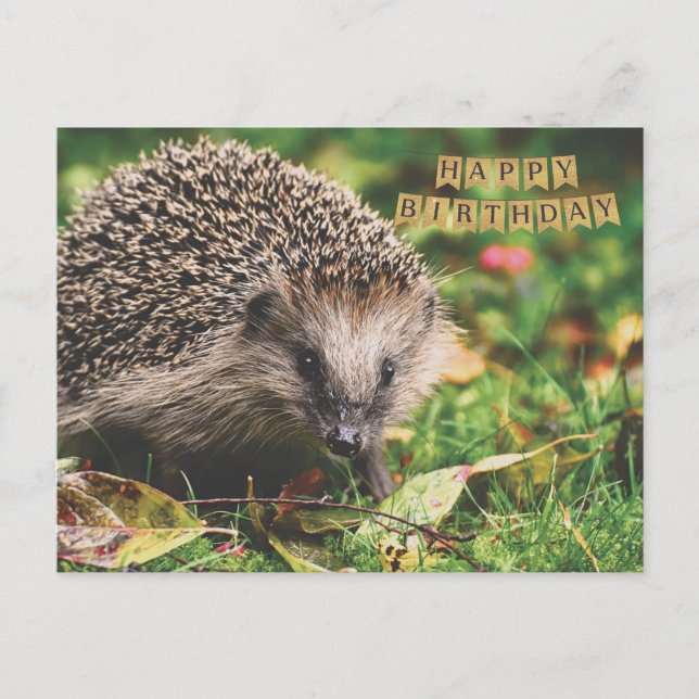 Carte Postale Hérisson de forêt mignon joyeux anniversaire (Devant)