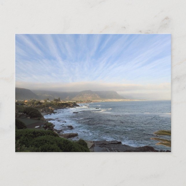 Carte Postale Hermanus, Afrique du Sud (Devant)