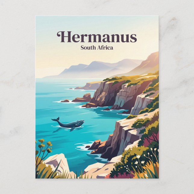 Carte Postale Hermanus Afrique du Sud (Devant)