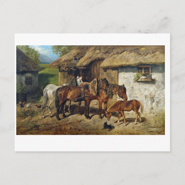 Carte Postale Hermine Biedermann Chevaux harnachés au Stab (Devant)