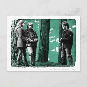 Carte Postale Hermione, Ron et Harry 1