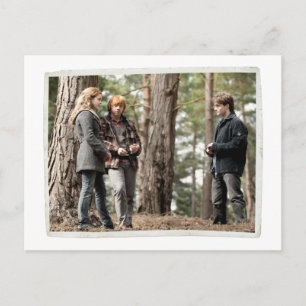 Carte Postale Hermione, Ron et Harry 2