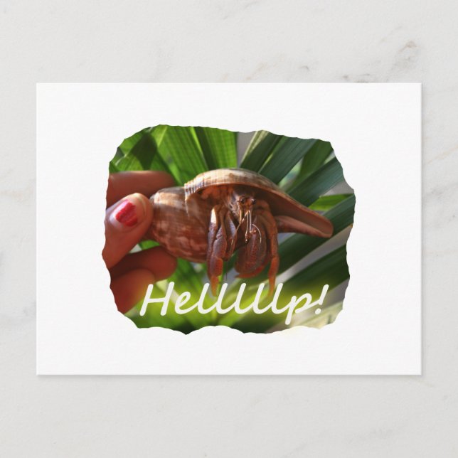 Carte Postale Hermit Crab et Aide texte, drôle de dessin animal (Devant)
