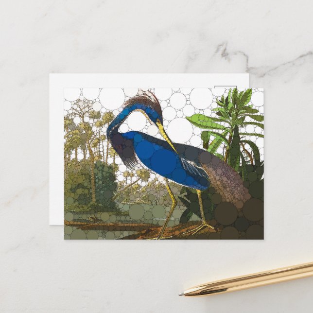 Carte Postale Héron bleu de Louisiane par John James Audubon (Devant/Arrière en situation)