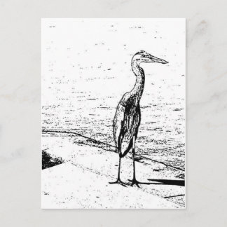 Carte Postale Heron In Ink