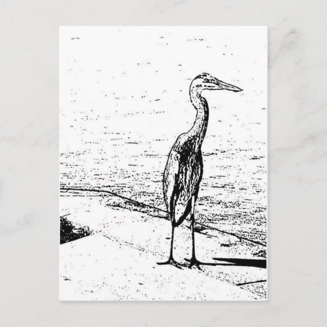 Carte Postale Heron In Ink (Devant)