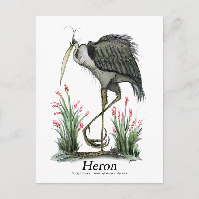 Carte Postale Heron, tony fernandes (Devant)