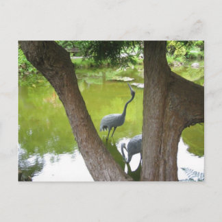Carte Postale Hérons