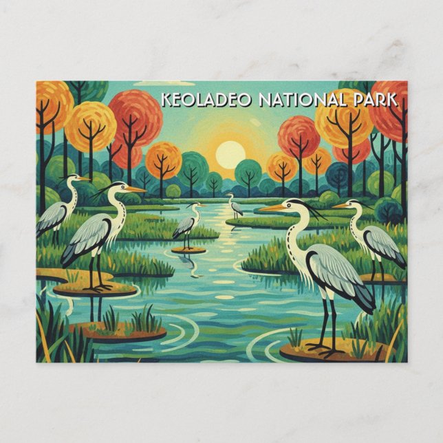 Carte Postale Hérons dans le parc national de Keoladeo, voyage e (Devant)