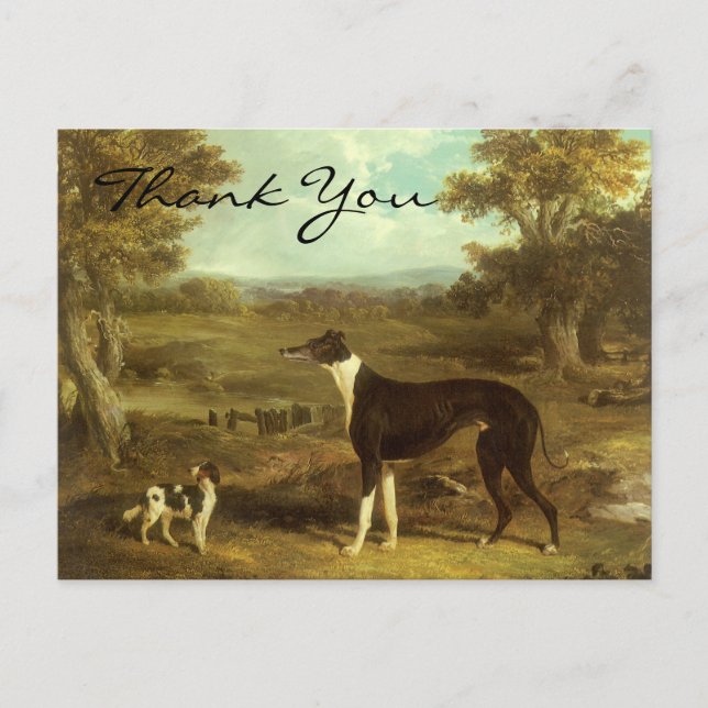 Carte Postale Herring's Greyhound and Spaniel; Doctor Fop (Devant)