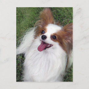 Carte Postale Hershey Kiss Hero Madi Merchandises