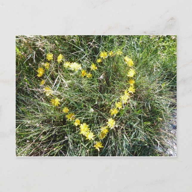 Carte Postale Herz aus Blumen (Devant)