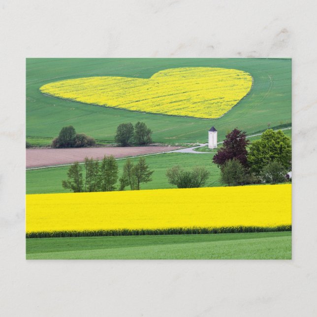 Carte Postale Herzlich (Devant)