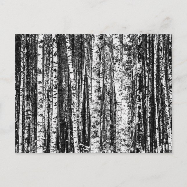 Carte Postale Hêtre, blanc et gris charbon / gris (Devant)