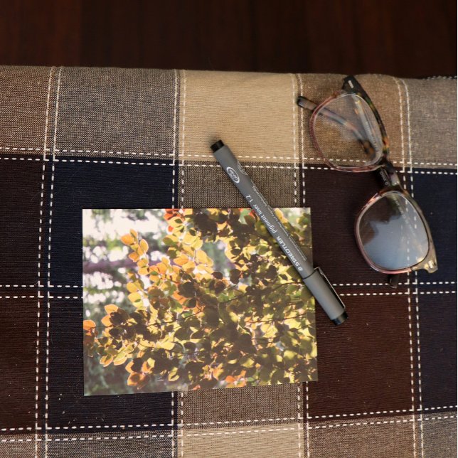 Carte Postale Hêtre commun européen (Créateur téléchargé)