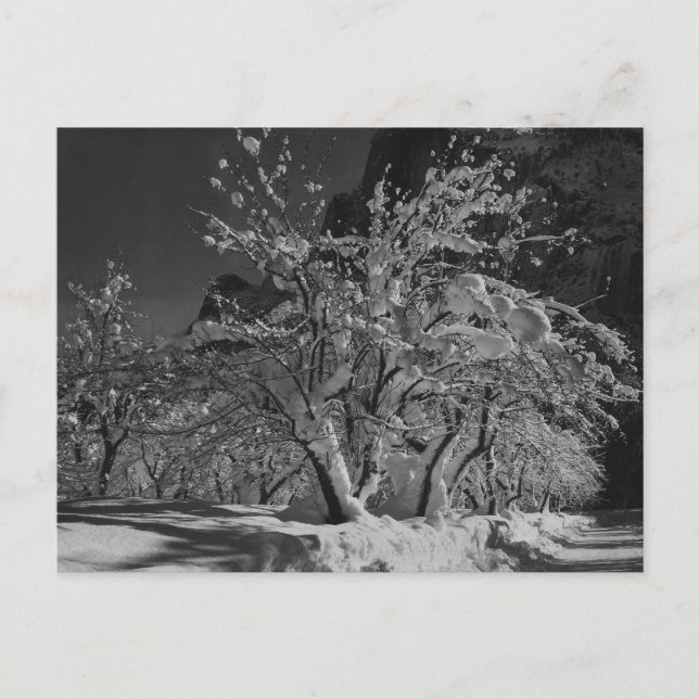 Carte Postale Heure de la nuit d'hiver (Devant)