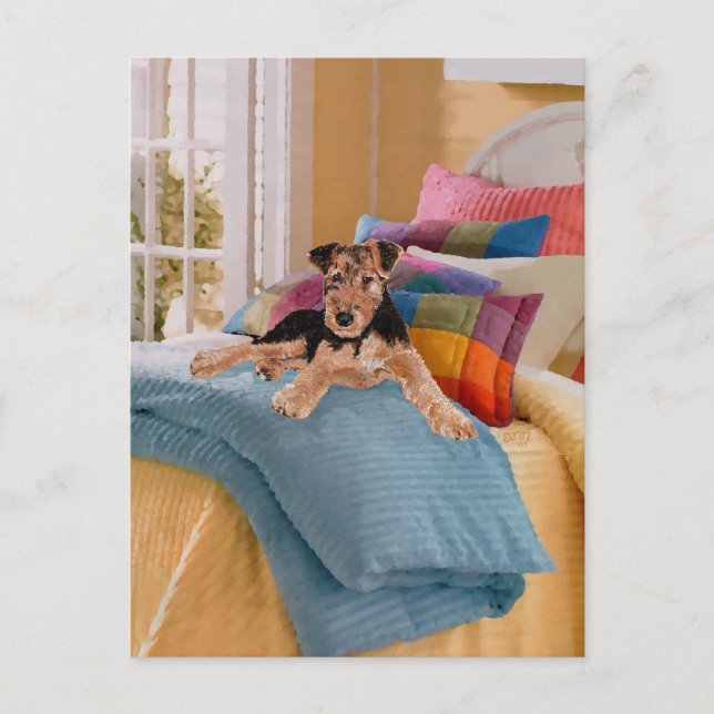 Carte Postale Heure de la sieste pour chiot (Devant)