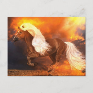 Carte Postale Heure d'or