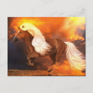 Carte Postale Heure d'or