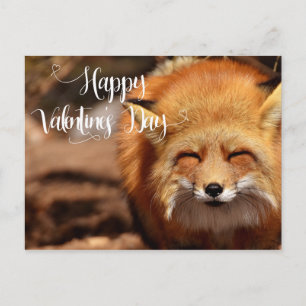 Carte Postale Heureuse Sainte-Valentin Fox