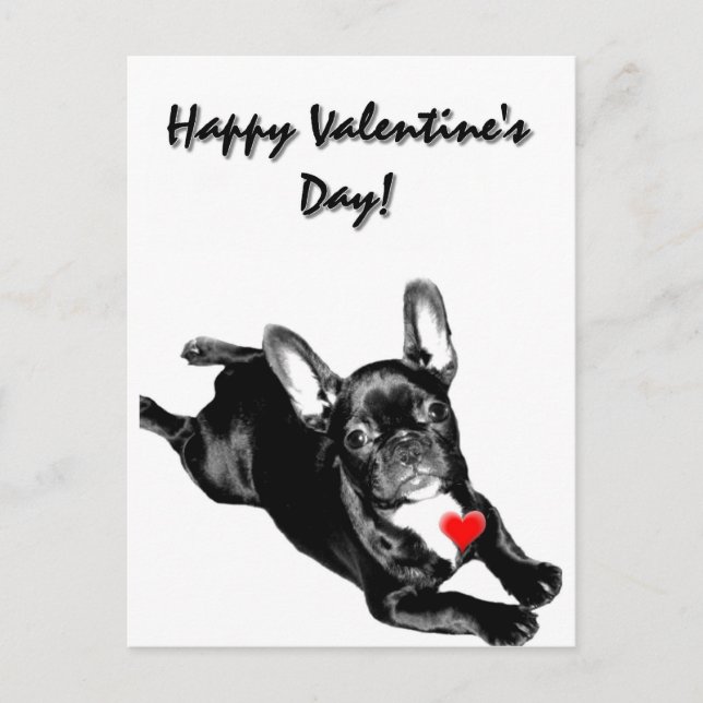 Carte postale Heureuse Sainte-Valentin French Bull (Devant)