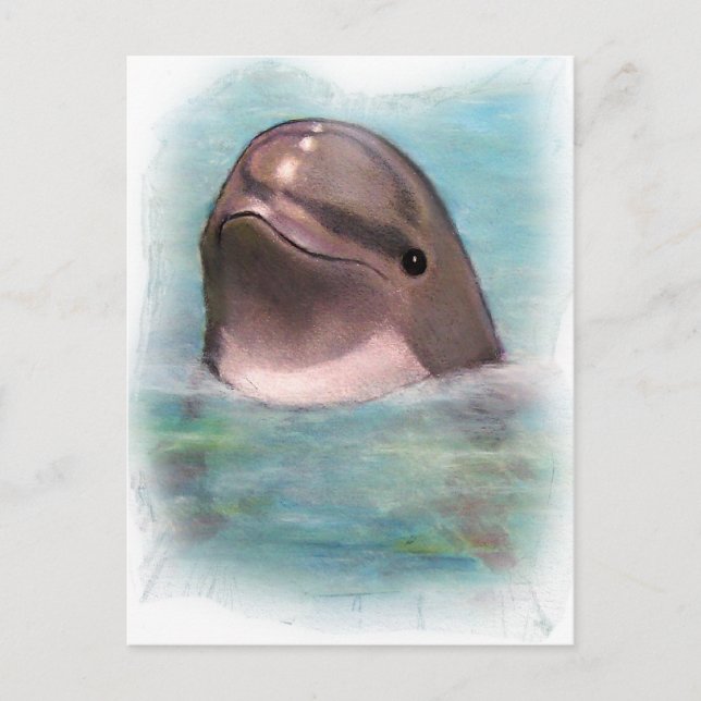 CARTE POSTALE HEUREUX DOLPHIN (Devant)