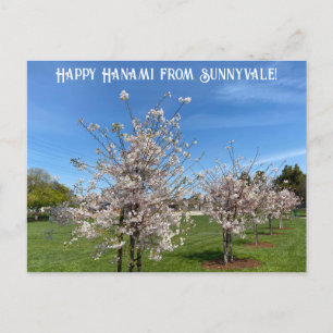 Carte Postale Heureux Hanami de Sunnyvale !