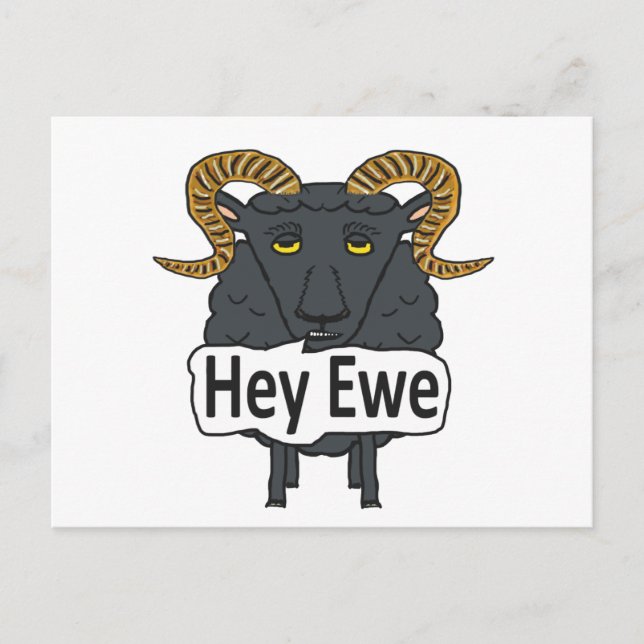 Carte Postale Hey Ewe Funny Sheep Pun (Devant)