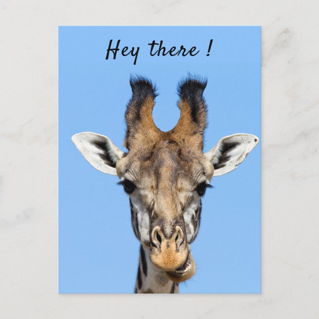 Carte Postale Hey là drôle Giraffe photo avec texte (Devant)