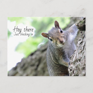 Carte postale Hey There, Just Checking In