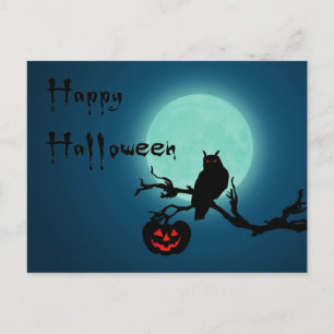 Carte Postale Hialloween Night Citrouille Owl