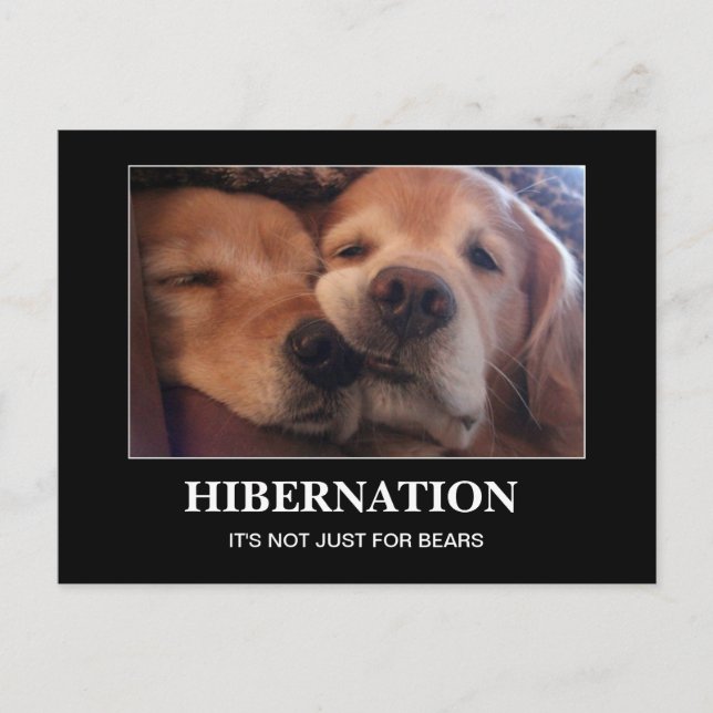 Carte Postale Hibernation Golden Retriever Restez chaud (Devant)