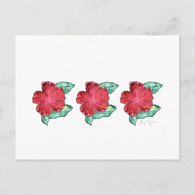 Carte postale Hibiscus (Devant)