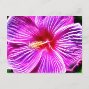 Carte Postale Hibiscus