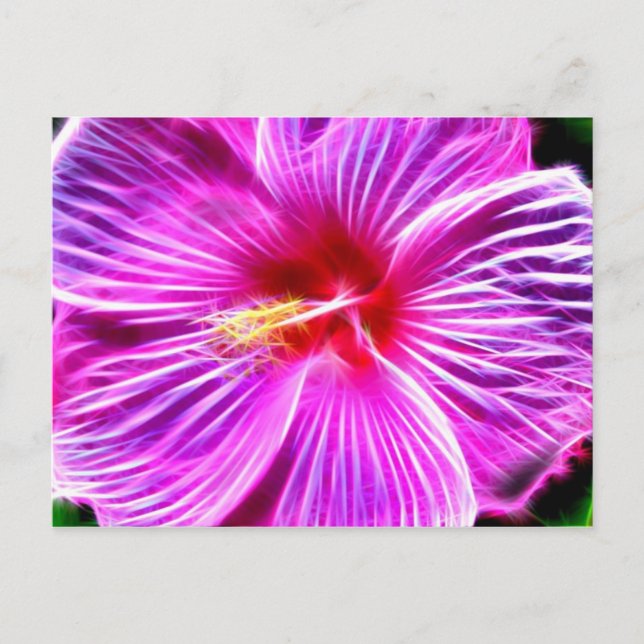 Carte Postale Hibiscus (Devant)