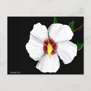 Carte postale Hibiscus