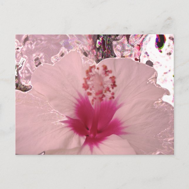 Carte Postale Hibiscus (Devant)