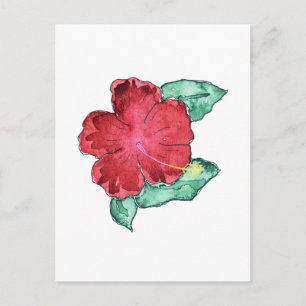 Carte postale Hibiscus