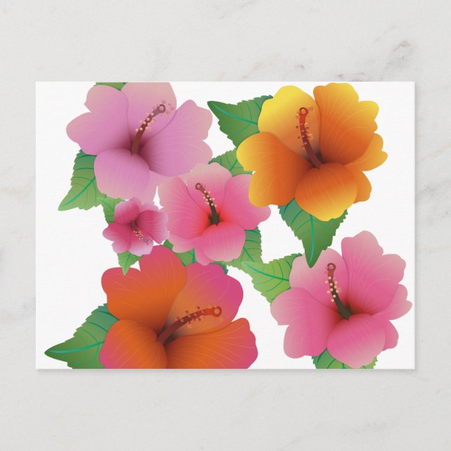 Carte Postale Hibiscus exotique aux fleurs tropicales (Devant)