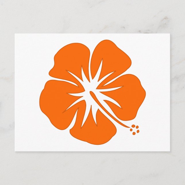 Carte Postale Hibiscus orange (Devant)